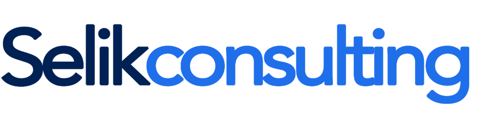 Selik Consulting Group - 